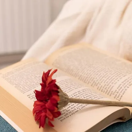 Daire At The Heart Of - Guggenheim *